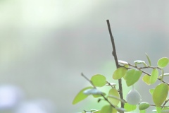 私を見つけて