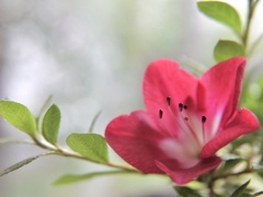 幸福