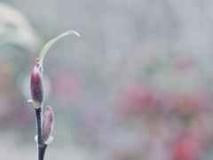 気まま