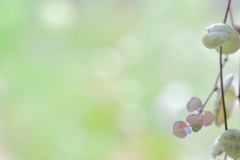 君たちはハート