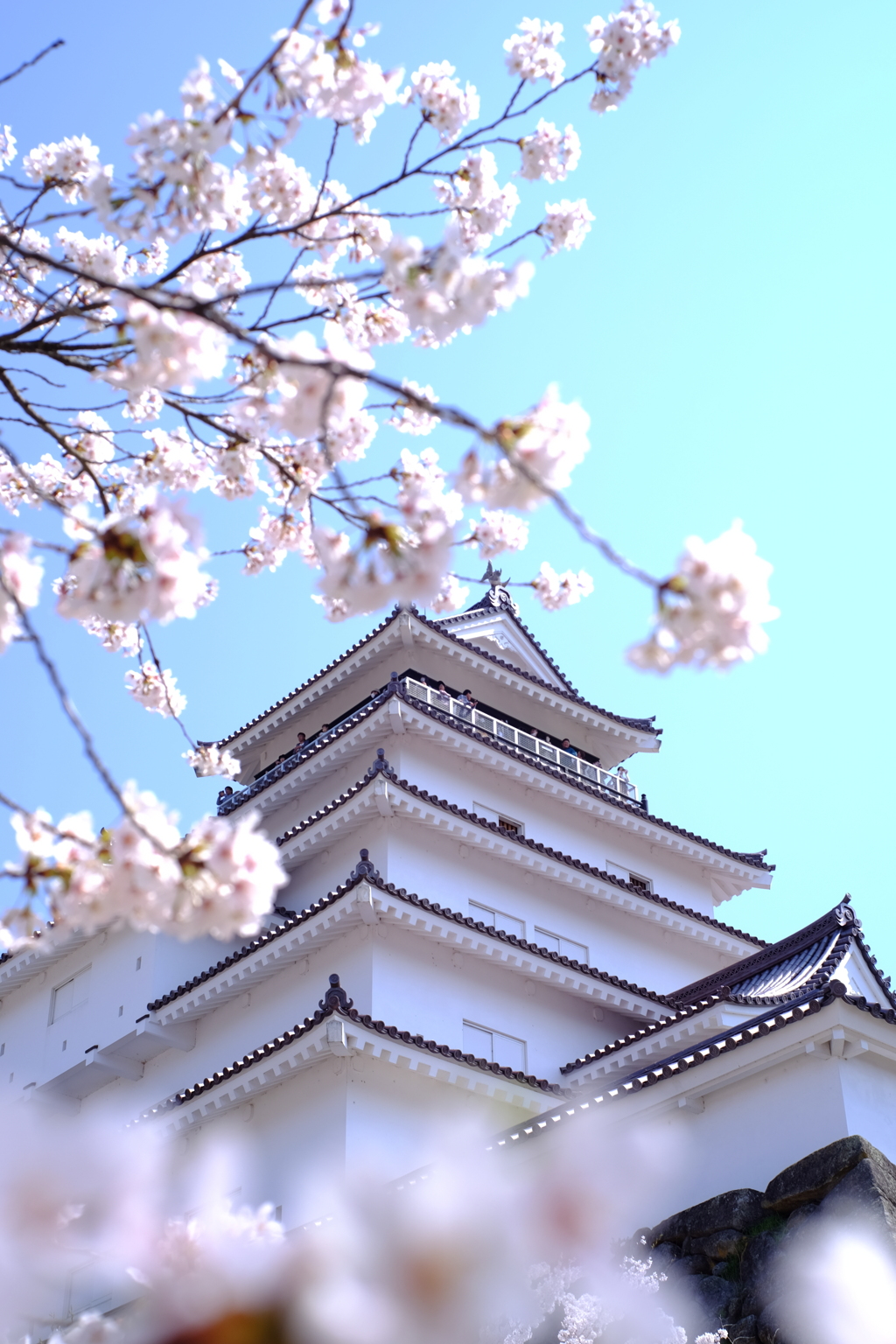 鶴ヶ城と桜！