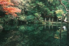 みずかがみ
