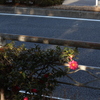 光