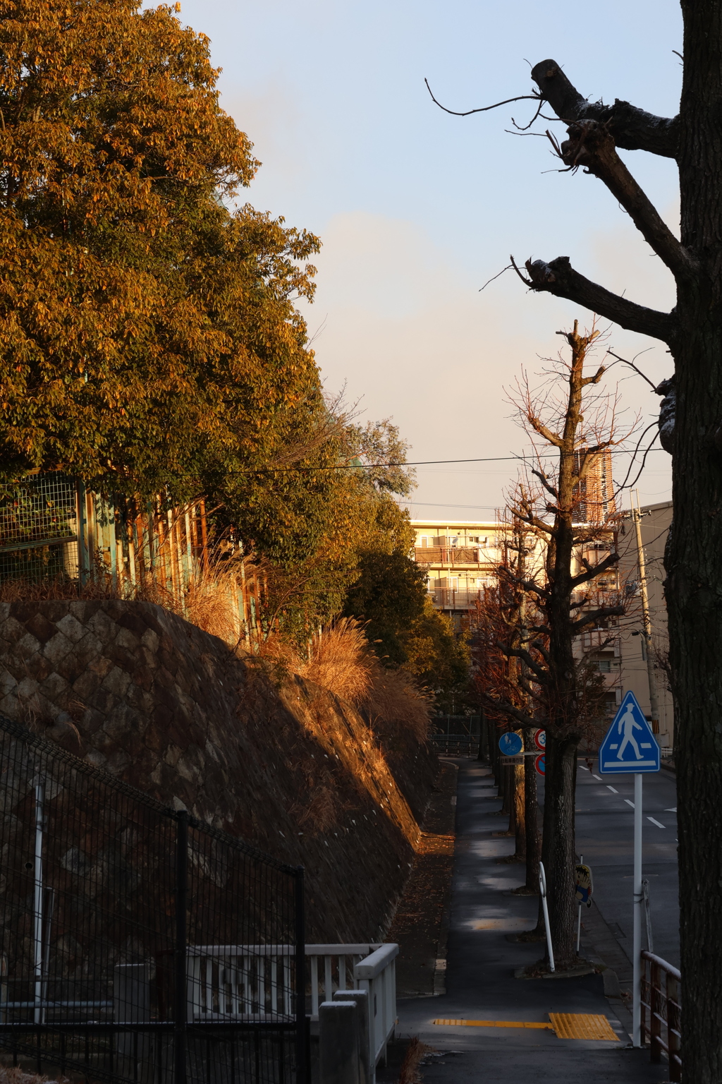 帰り道