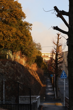 帰り道