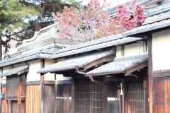 京
