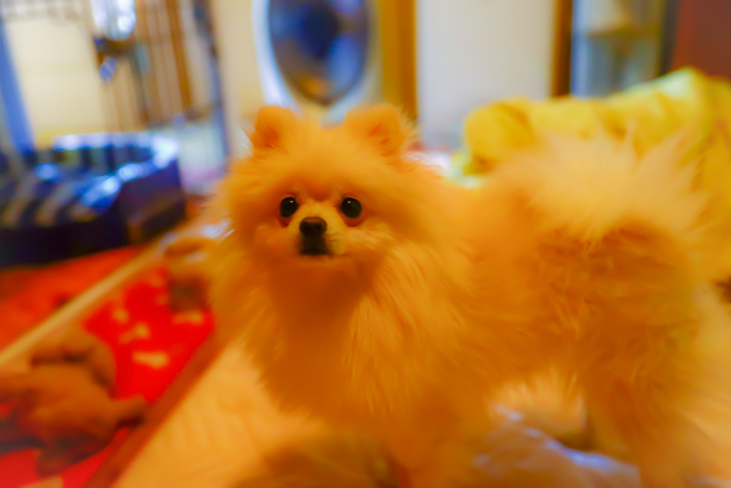 こっちを向いて