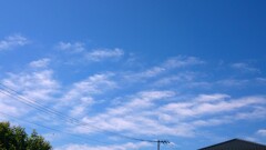 休日