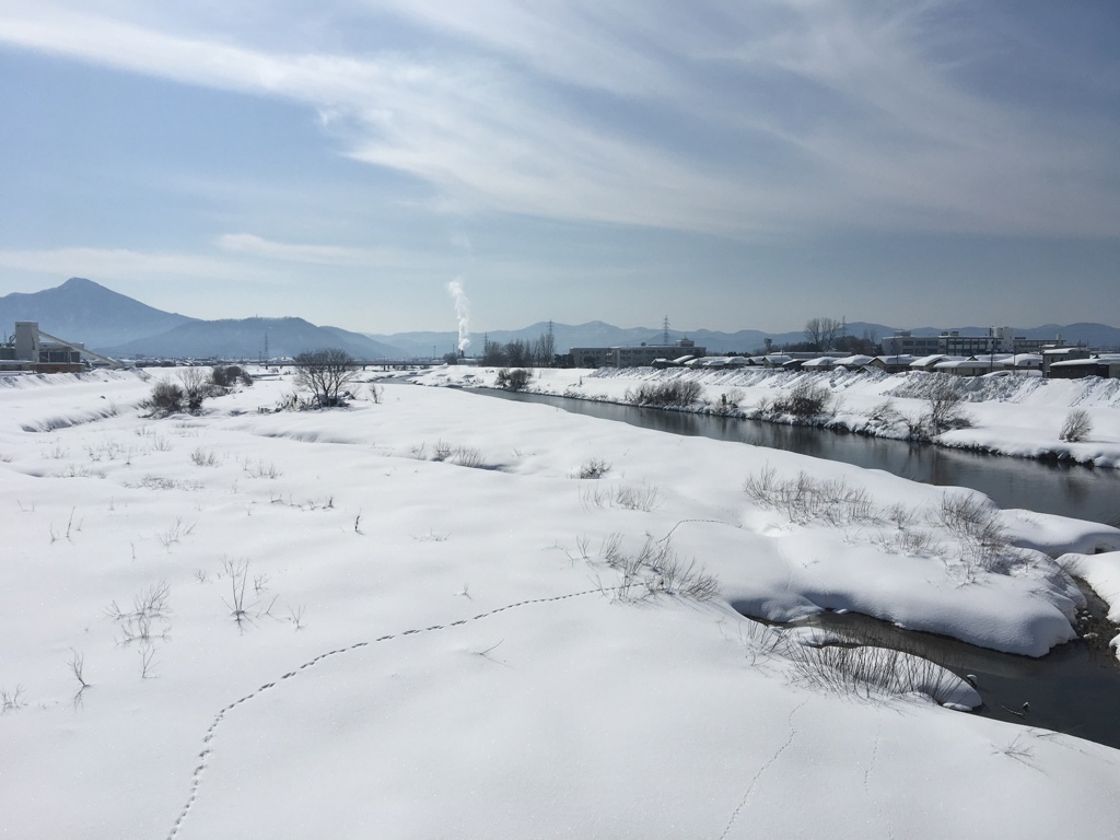 Footprints on the Riverside