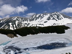 Mikuriga Pond in June