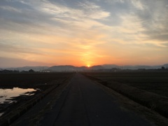 Sunrise During Early Morning Road Work