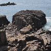 Tojinbo Cliff