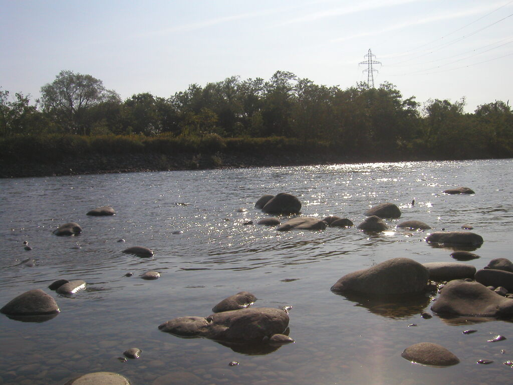 Brilliance of the River Surface