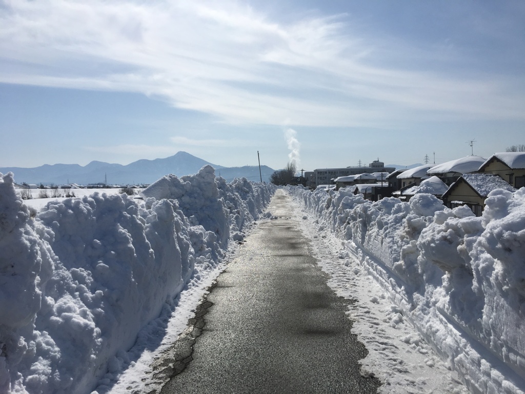Snow-cleared Road