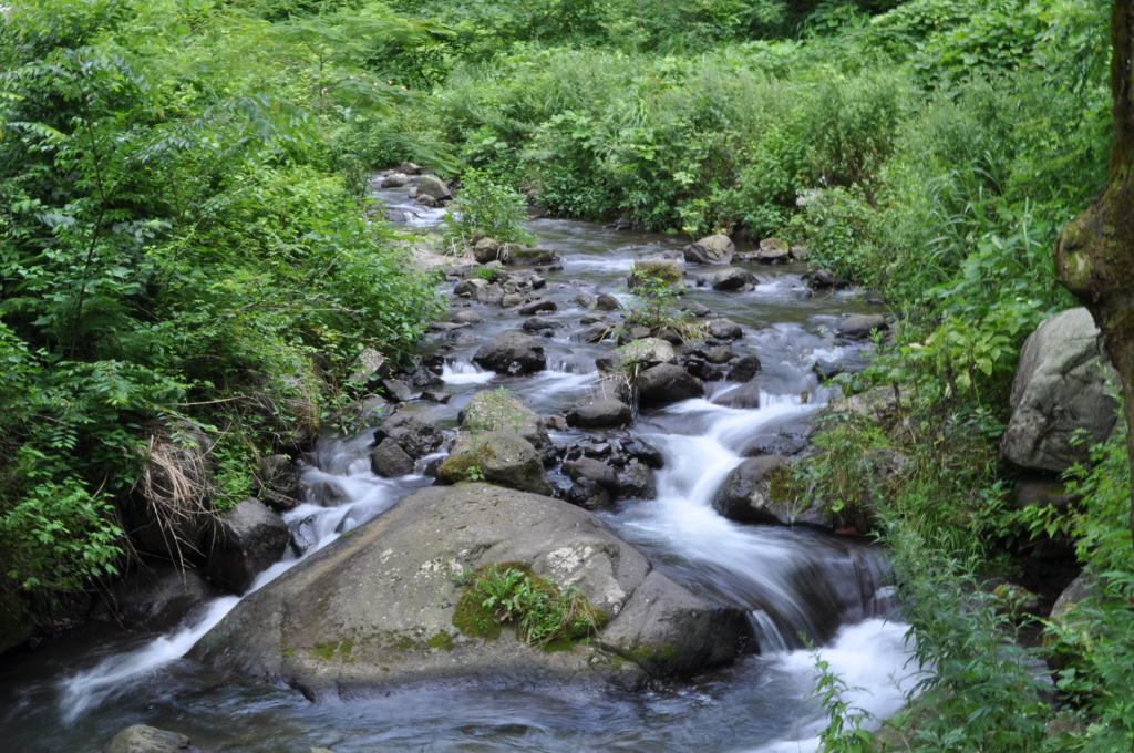 The Murmuring of a Stream