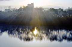 Morning Sun & Trees on the Water