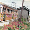 Abandoned Station & Flower Train in 1969