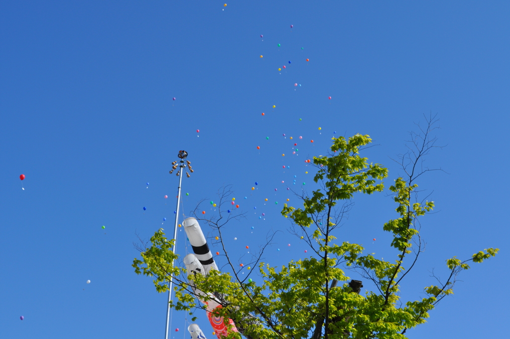 Carp Streamers & Balloons