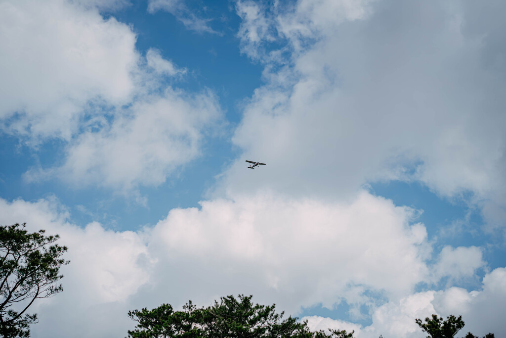 大空を駆ける