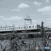 いつも乗ってる電車