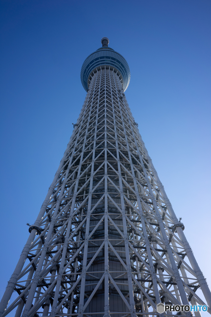 大好きなスカイツリー