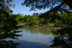 初夏の六義園