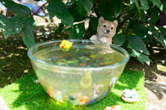 暑くて水遊びしたいよね