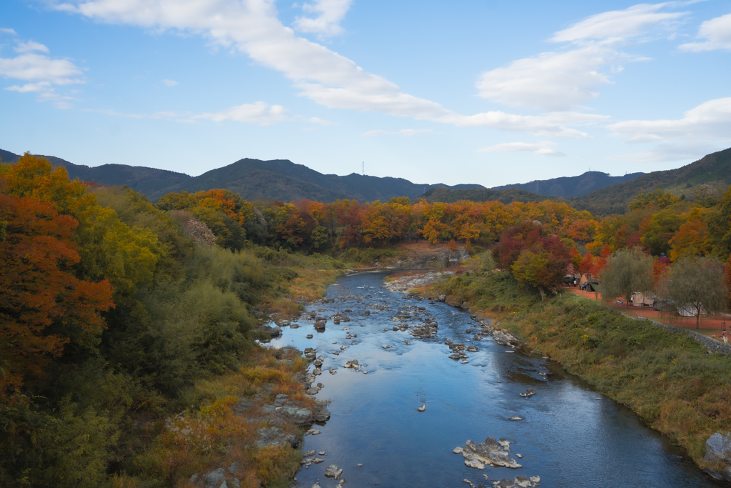 秋色に染まる荒川