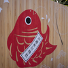 大きい鯛
