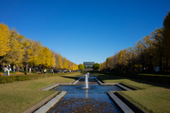 昭和記念公園　カナール　秋