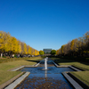 昭和記念公園　カナール　秋