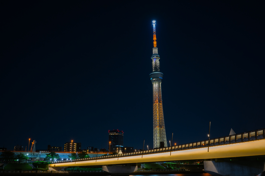 TOKYO SKYTREE NIGHT