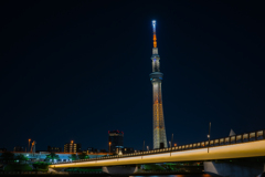 TOKYO SKYTREE NIGHT