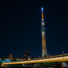 TOKYO SKYTREE NIGHT