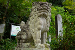 高麗神社の狛犬