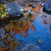 水面に映る紅葉
