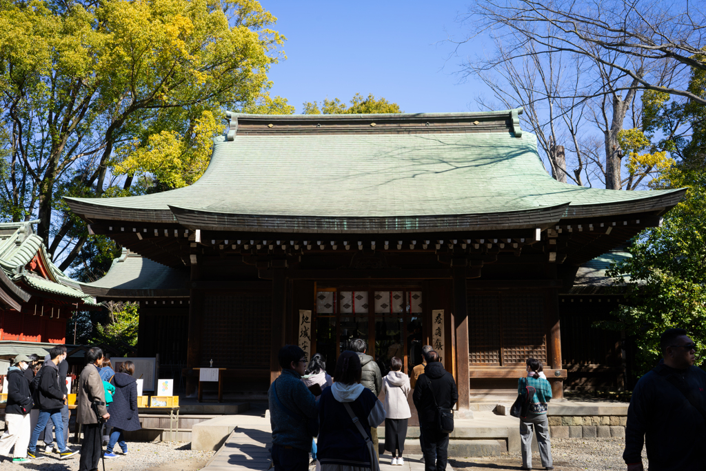 春の川越氷川神社