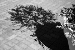 もう一つの輪郭