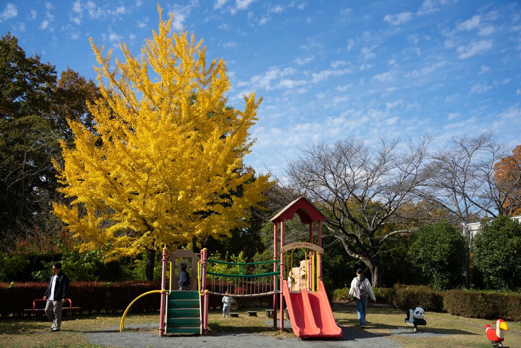 秩父ミューズパーク