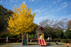 秩父ミューズパーク