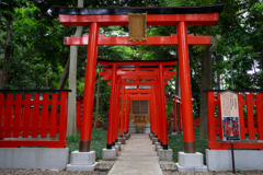 伏見稲荷神社　奉納鳥居