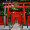 伏見稲荷神社　奉納鳥居