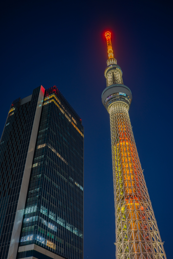 夜のツリーとビル