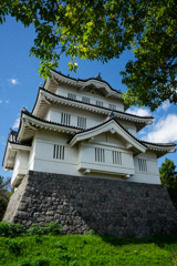 のぼうの城