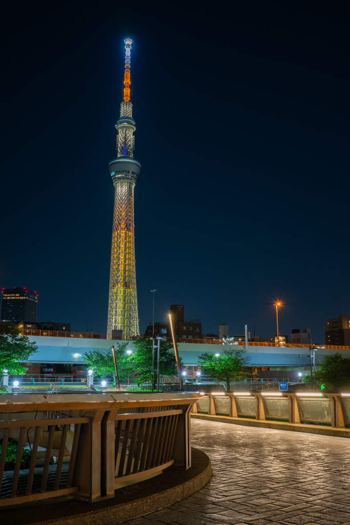 桜橋からの眺め