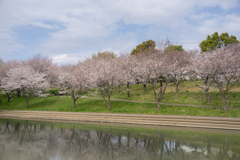 いつもの公園で