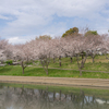 いつもの公園で