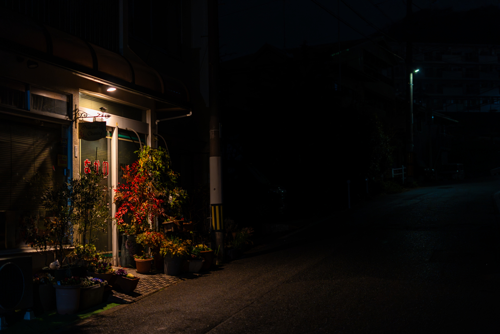 深夜1時の散歩