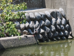 先に行くね