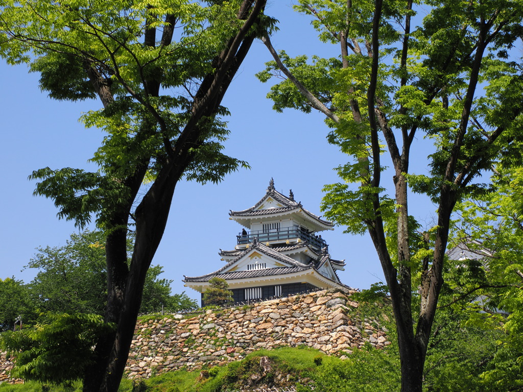 静岡浜松城
